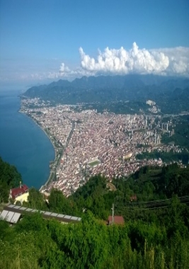 Ordu